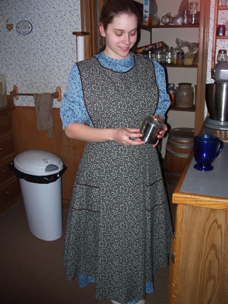Ladies Horse and Buggy Apron - Long