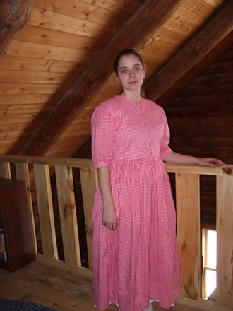 Ladies Basic Dress
