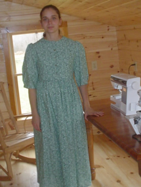 Ladies Basic Dress