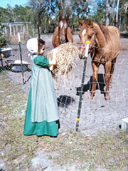 Picture of girl with horses
