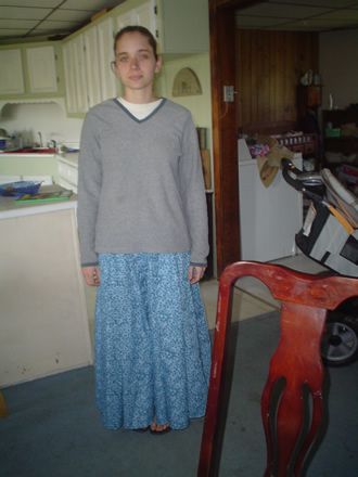 Ladies Gored Skirt